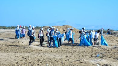 حملات تنظيف بمحميات جنوب سيناء