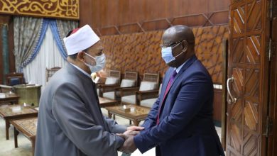 الإمام الأكبر ووزير داخلية النيجر يناقشان تعزيز الاستفادة من جهود ومناهج الأزهر