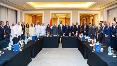 مجلس الأعمال المصري الإماراتي