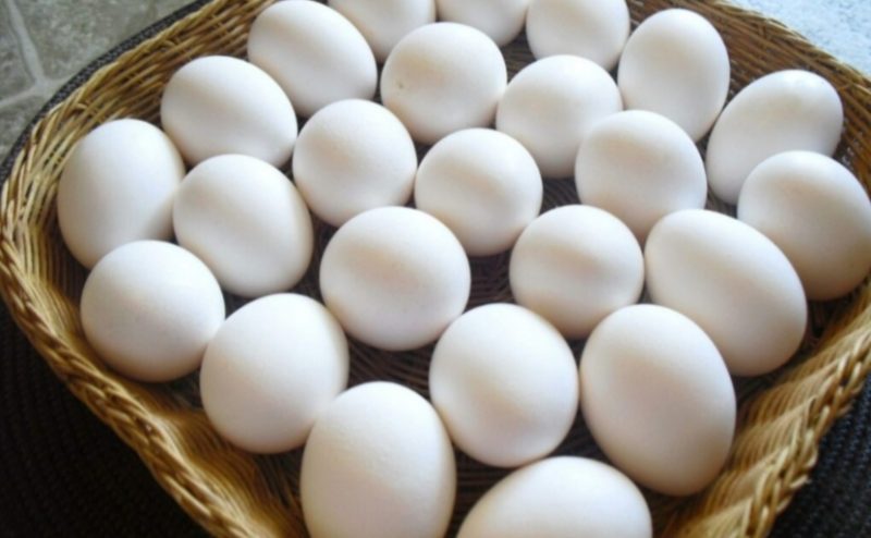 عضو شعبة بيض المائدة :سعر 85 جنيهاً للطبق يعود لاسعار التغليف والبلاستيك