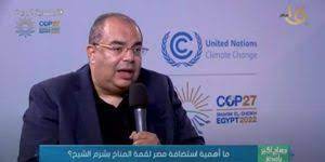 رائد المناخ للرئاسة المصرية