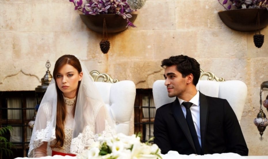 طائر الرفراف