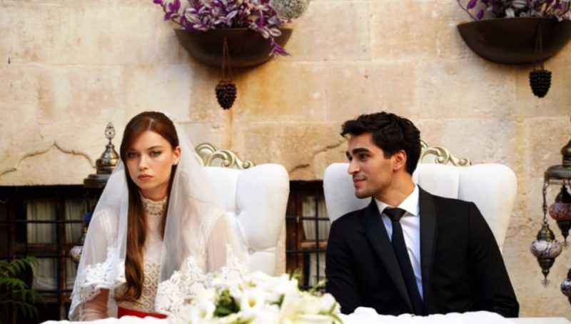 طائر الرفراف