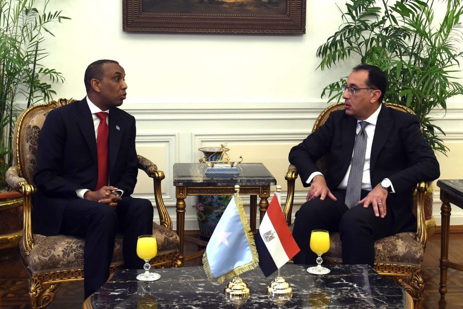 رئيسا الوزراء المصري والصومالي