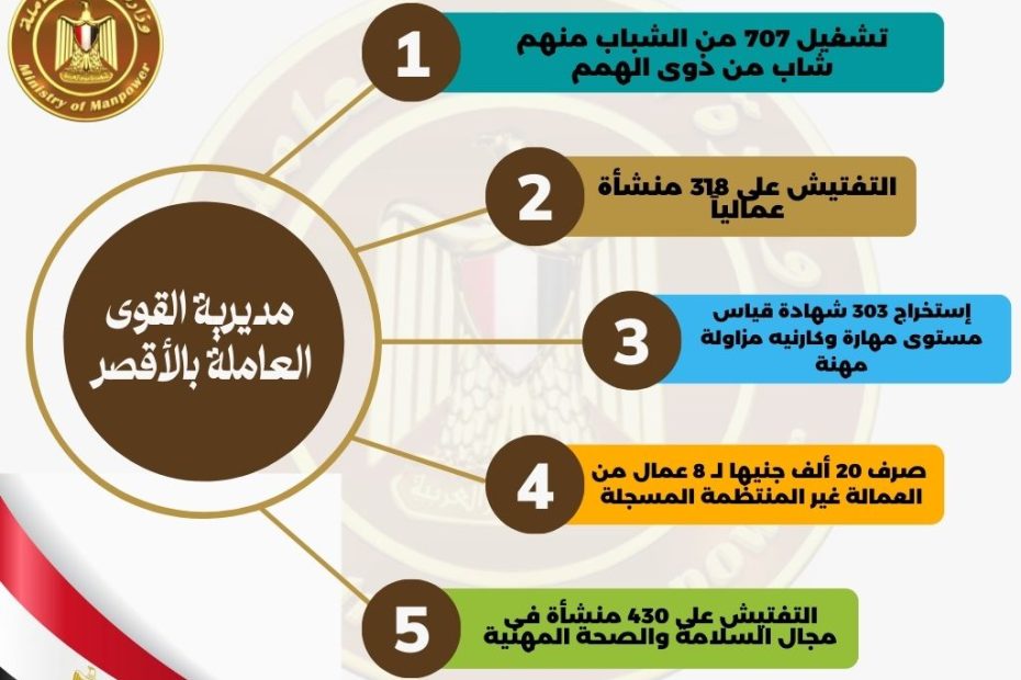 نشاط وزارة القوى العاملة فى يناير الماضى