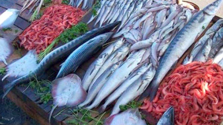 مفاجأة بأسعار الأسماك اليوم الخميس 30 مارس