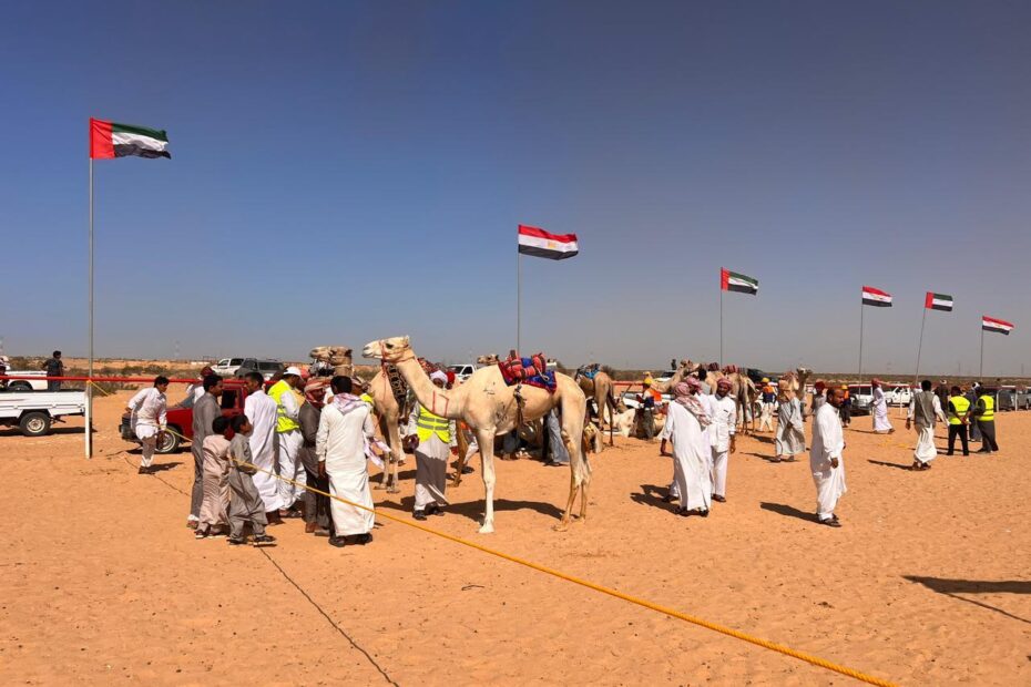 مهرجان العلمين الثالث للهجن