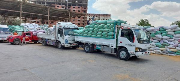 التموين :  مواقع إستلام القمح تفتح أبوابها أمام المزارعين خلال إجازة شم النسيم