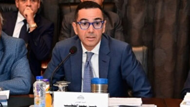 وزير الاستثمار منتدى الأعمال المصري الصربي