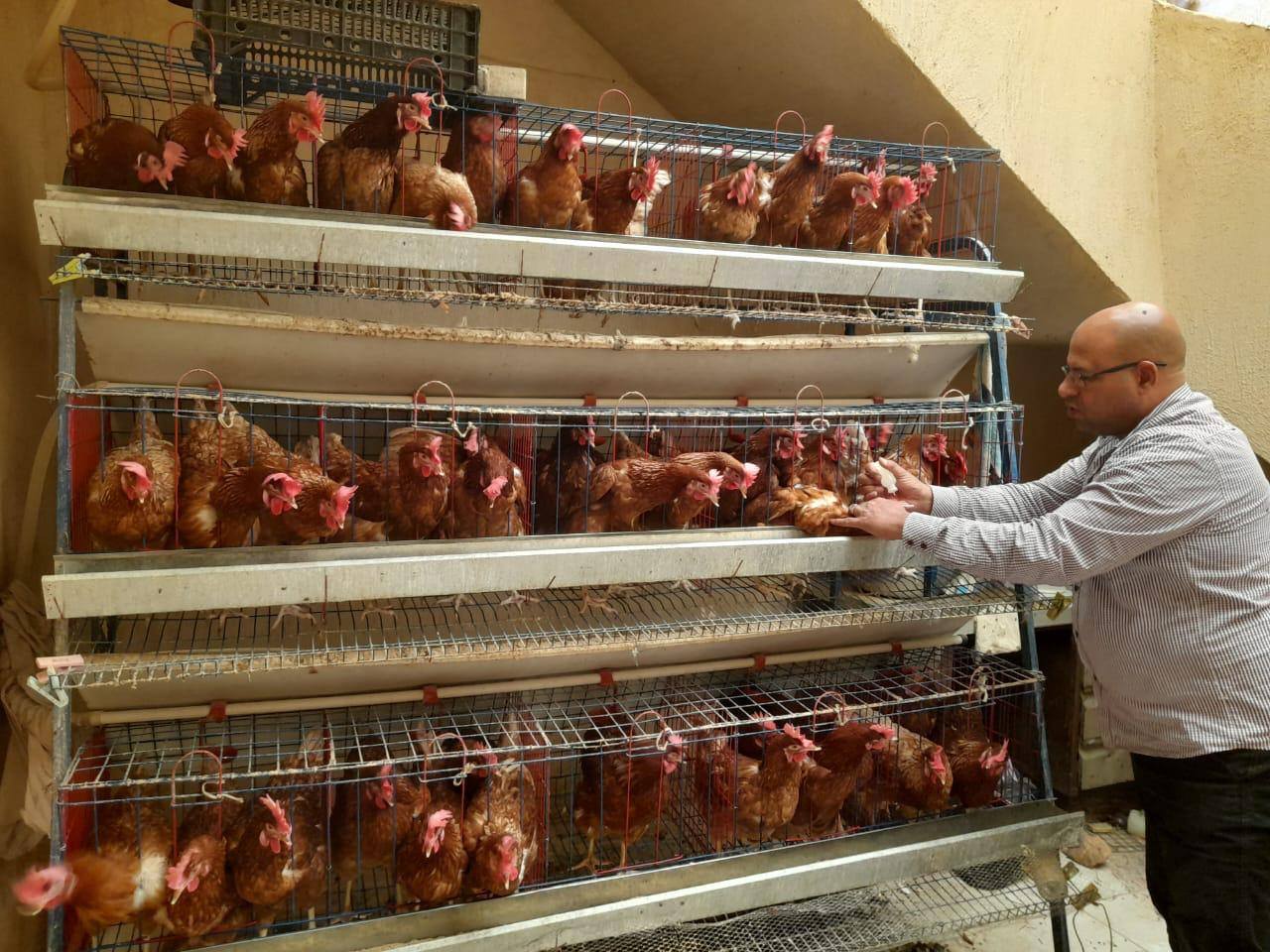 مركز بحوث الصحراء