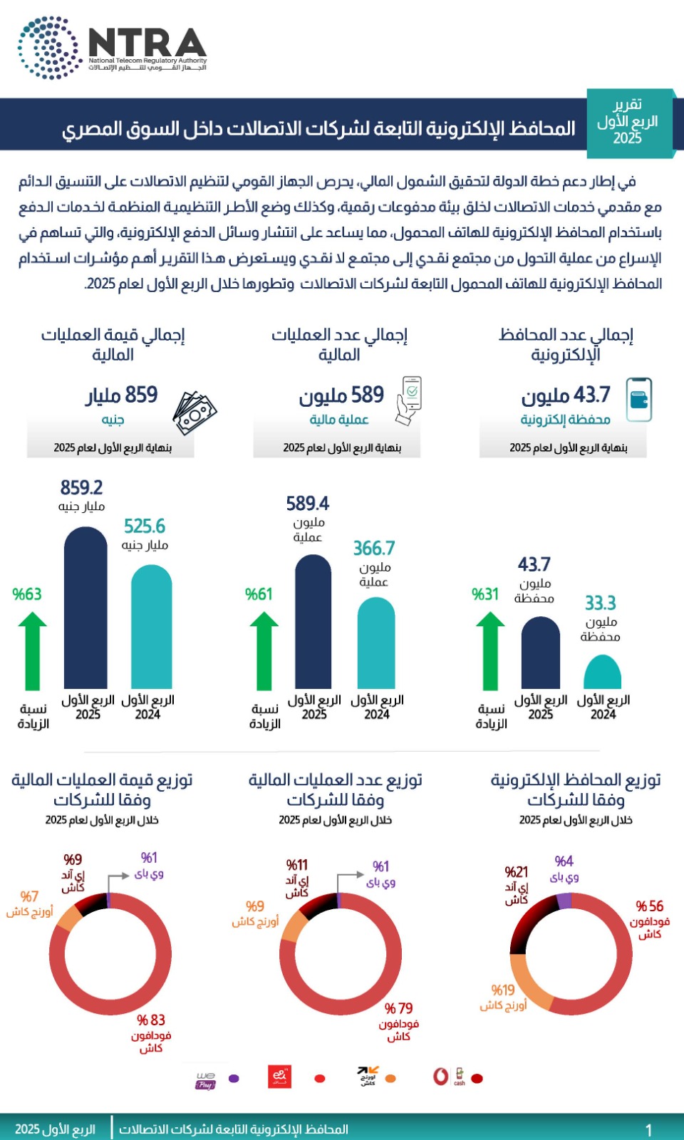 الجهاز القومي لتنظيم الاتصالات 