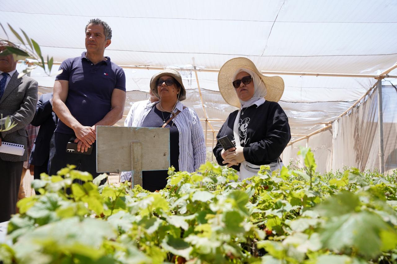 بحوث الصحراء