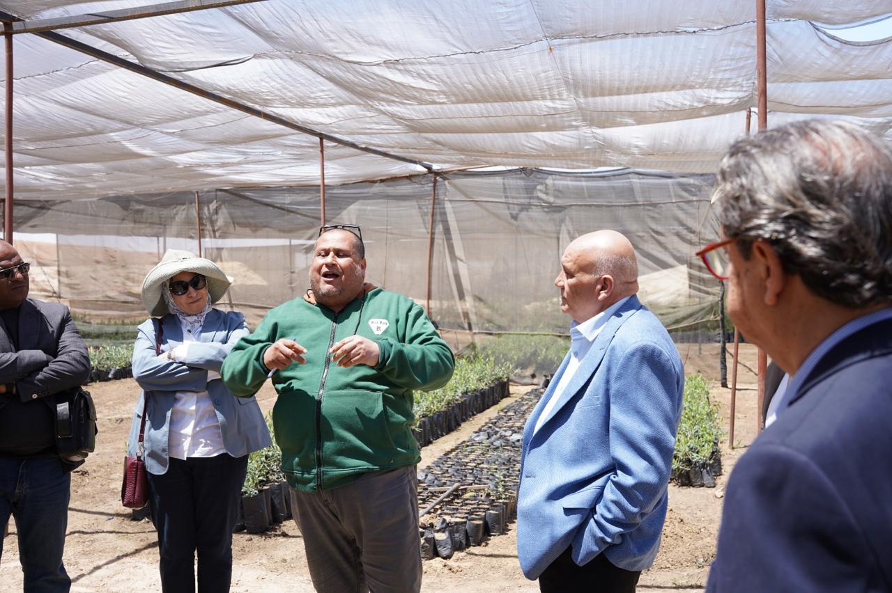 بحوث الصحراء