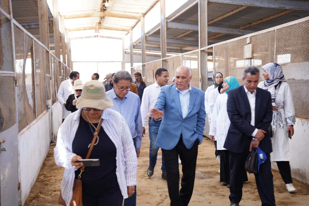 بحوث الصحراء