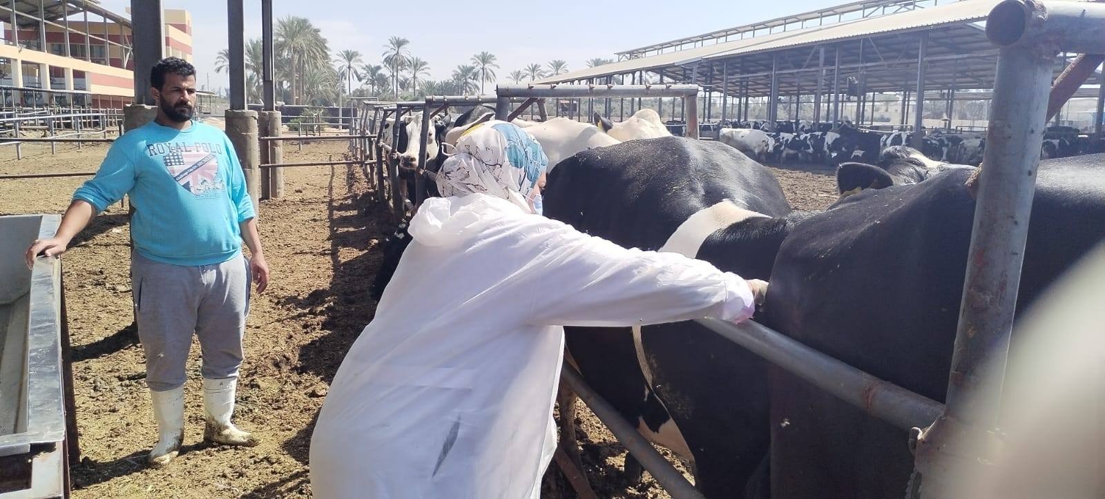 وزارة الزراعة