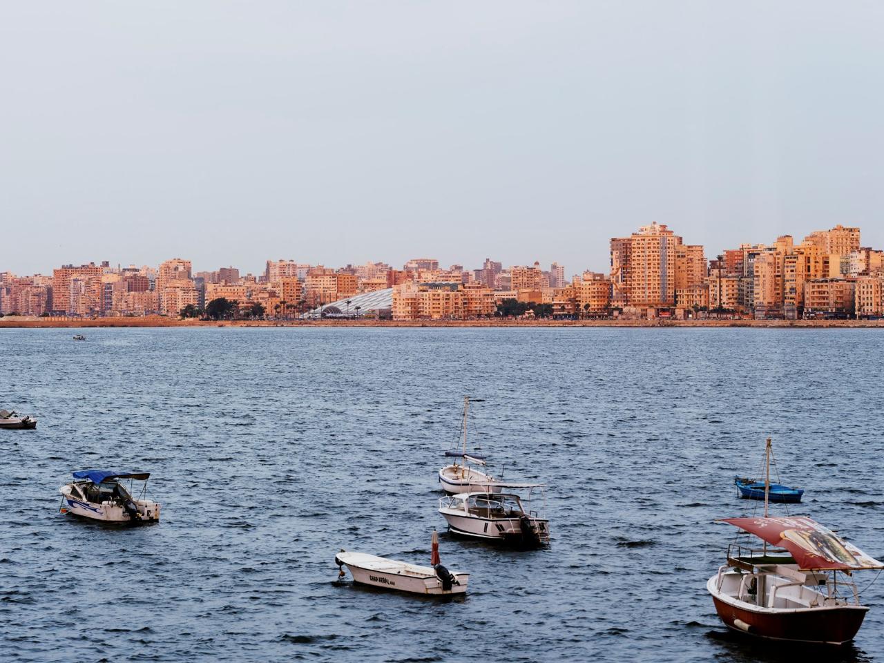 سنوهيتا