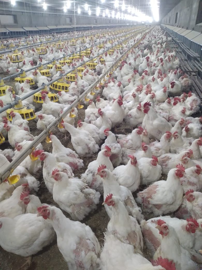 وزير الزراعة