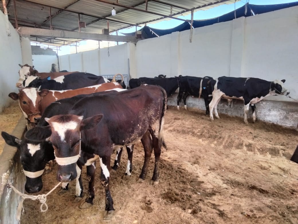 وزير الزراعة 