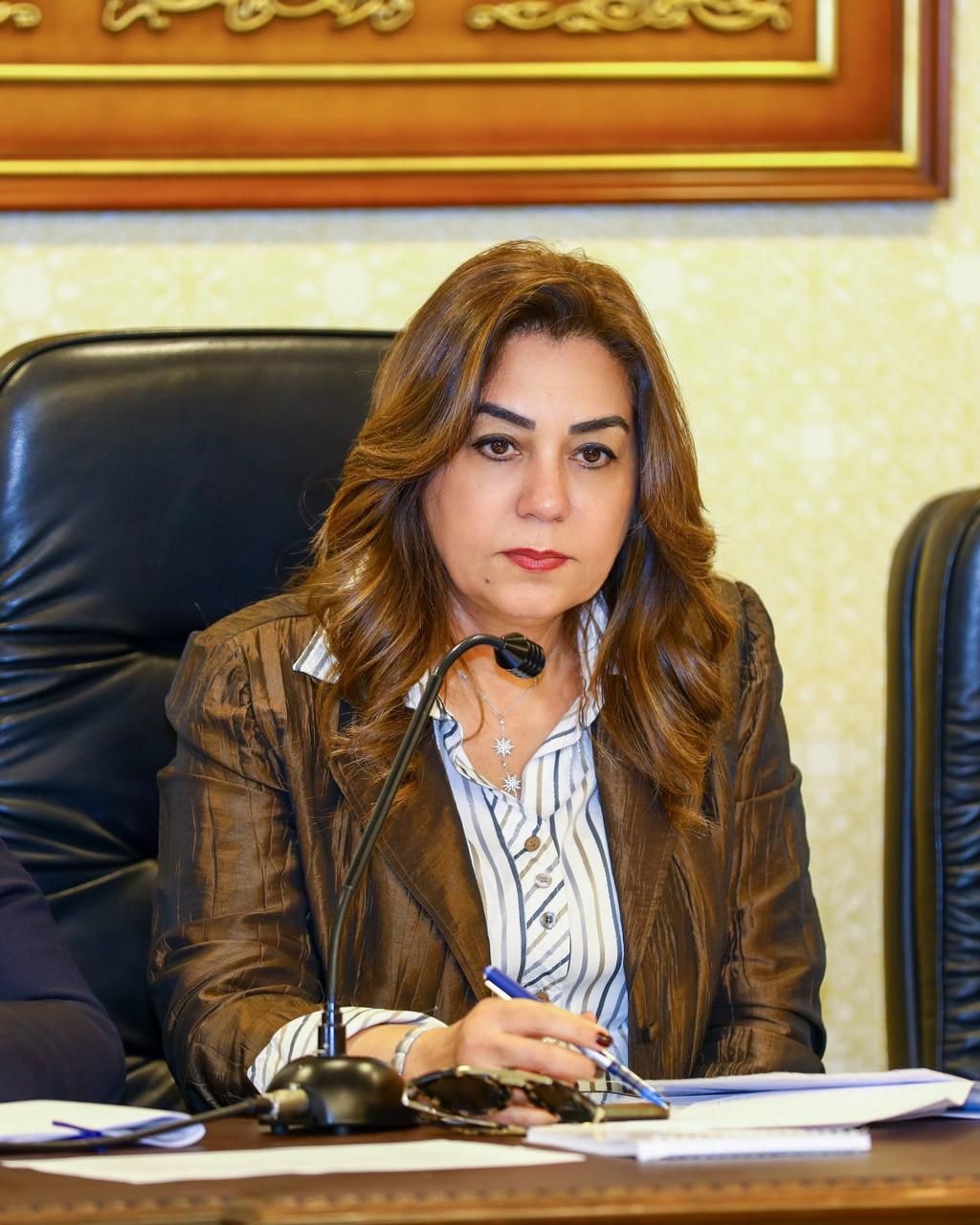 وزيرة التنمية المحلية