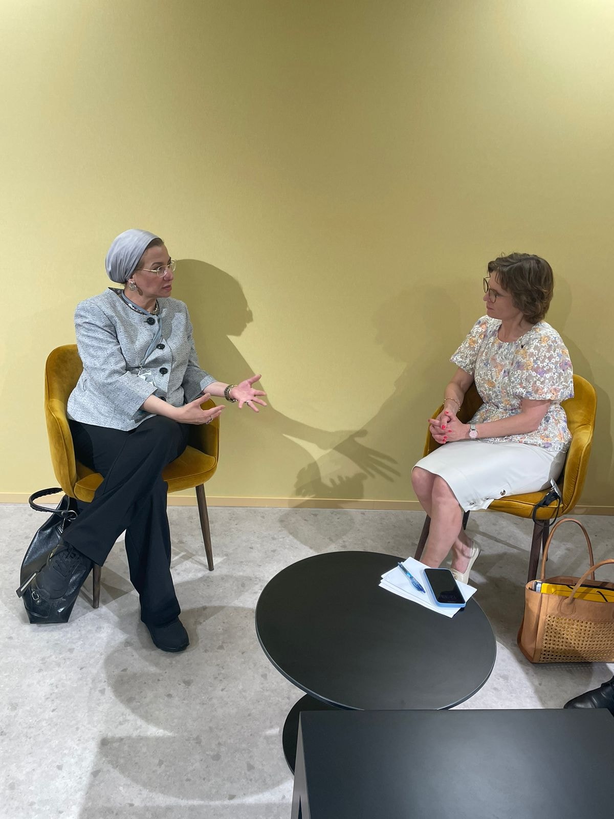 وزيرة البيئة