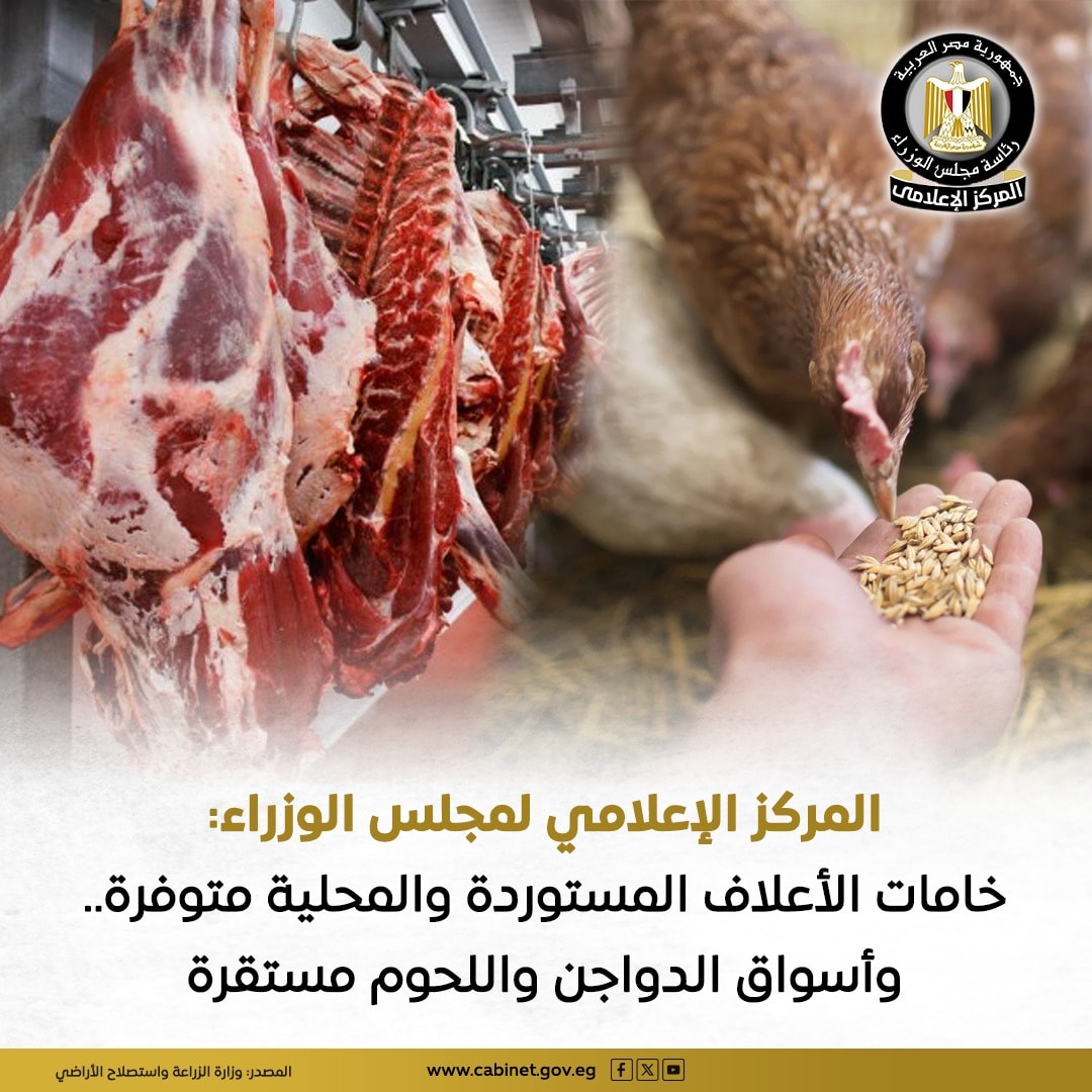 مجلس الوزراء