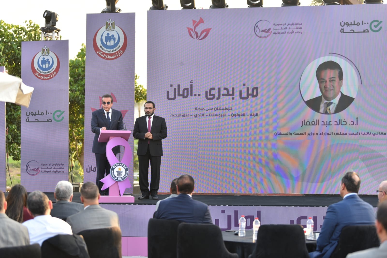 نائب رئيس مجلس الوزراء