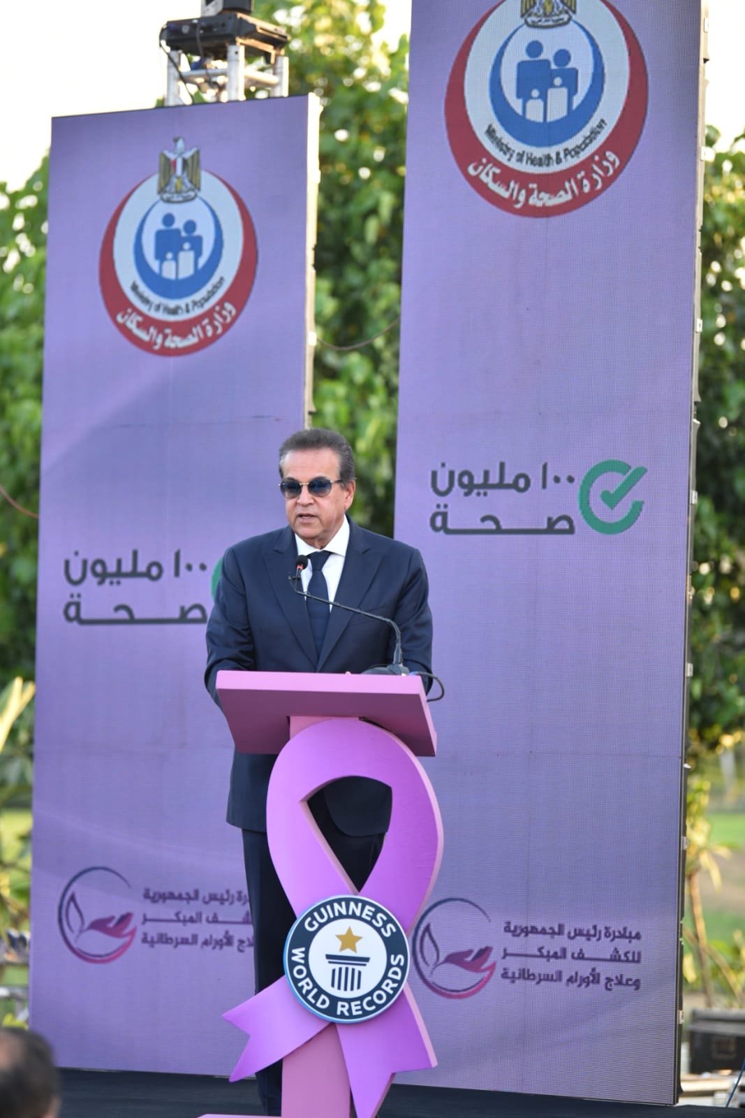 نائب رئيس مجلس الوزراء