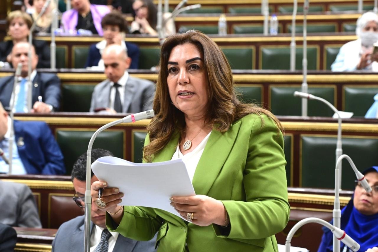 وزيرة التنمية المحلية