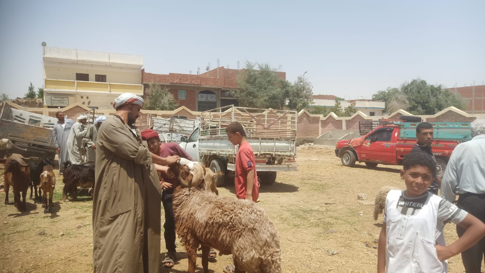 وزير الزراعة 