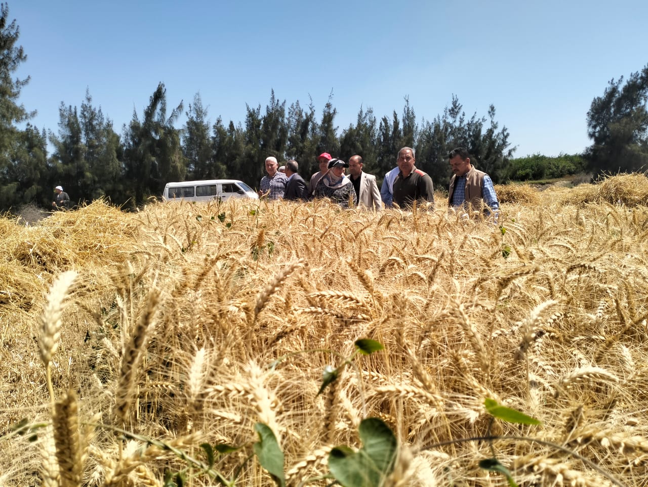 وزير الزراعة