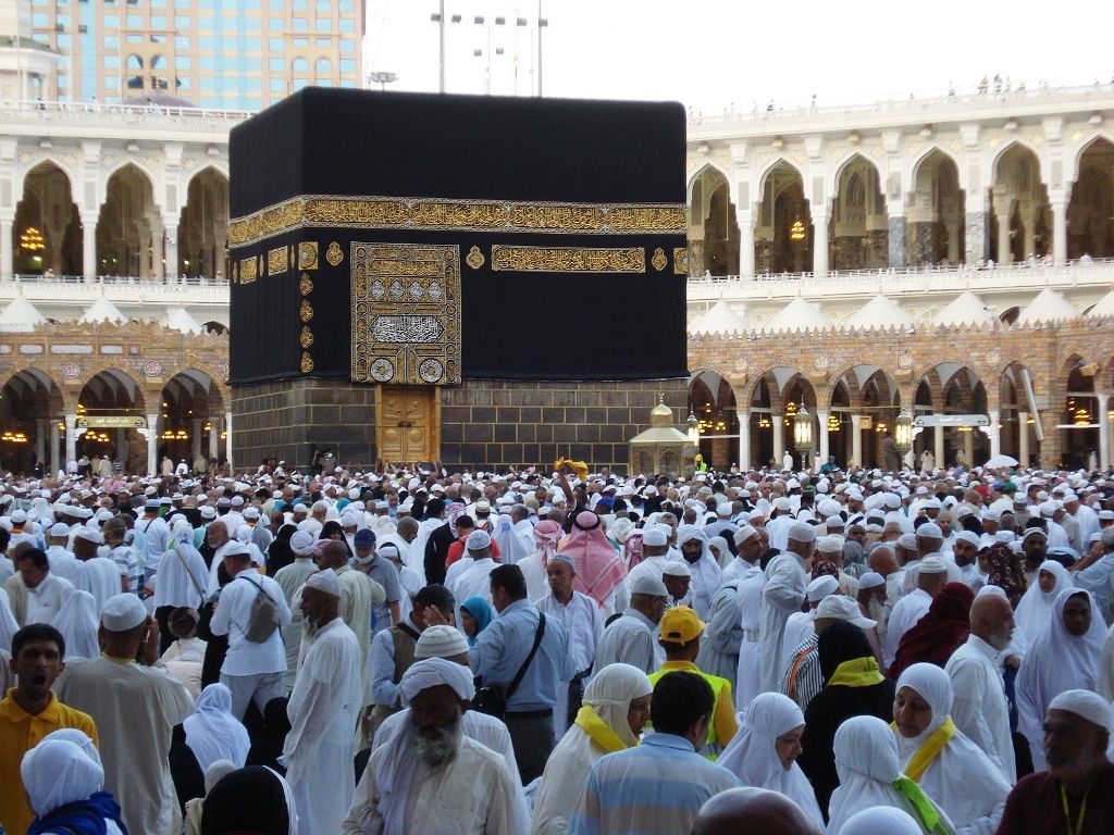 التضامن الاجتماعي