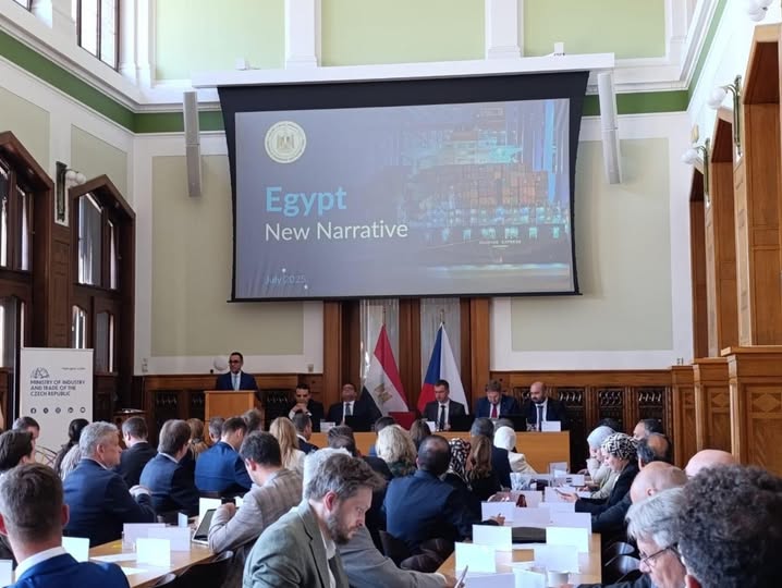 وزير الاستثمار