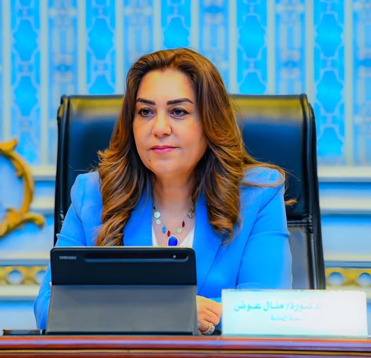 وزيرة التنمية