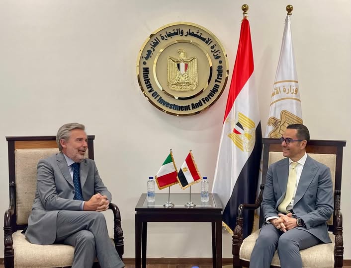 وزير الاستثمار