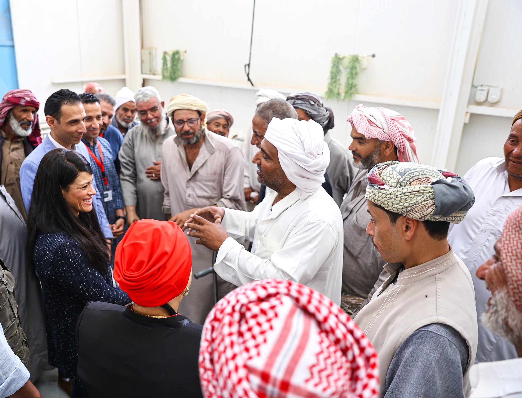 وزيرة التخطيط