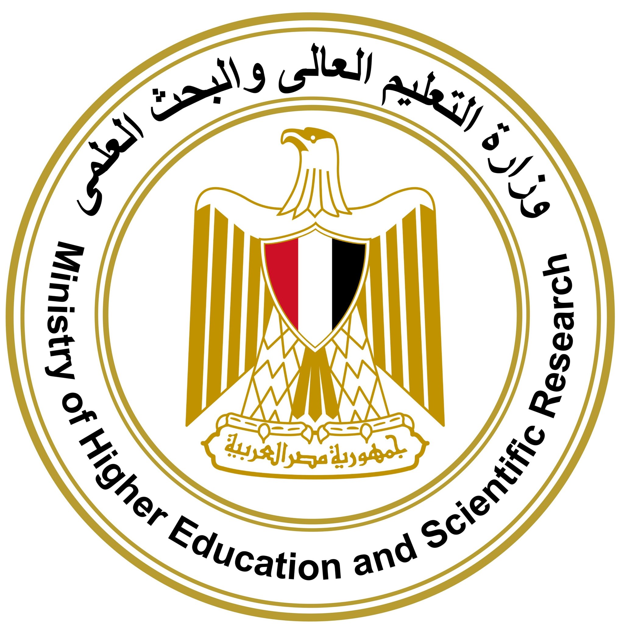 التعليم العالي