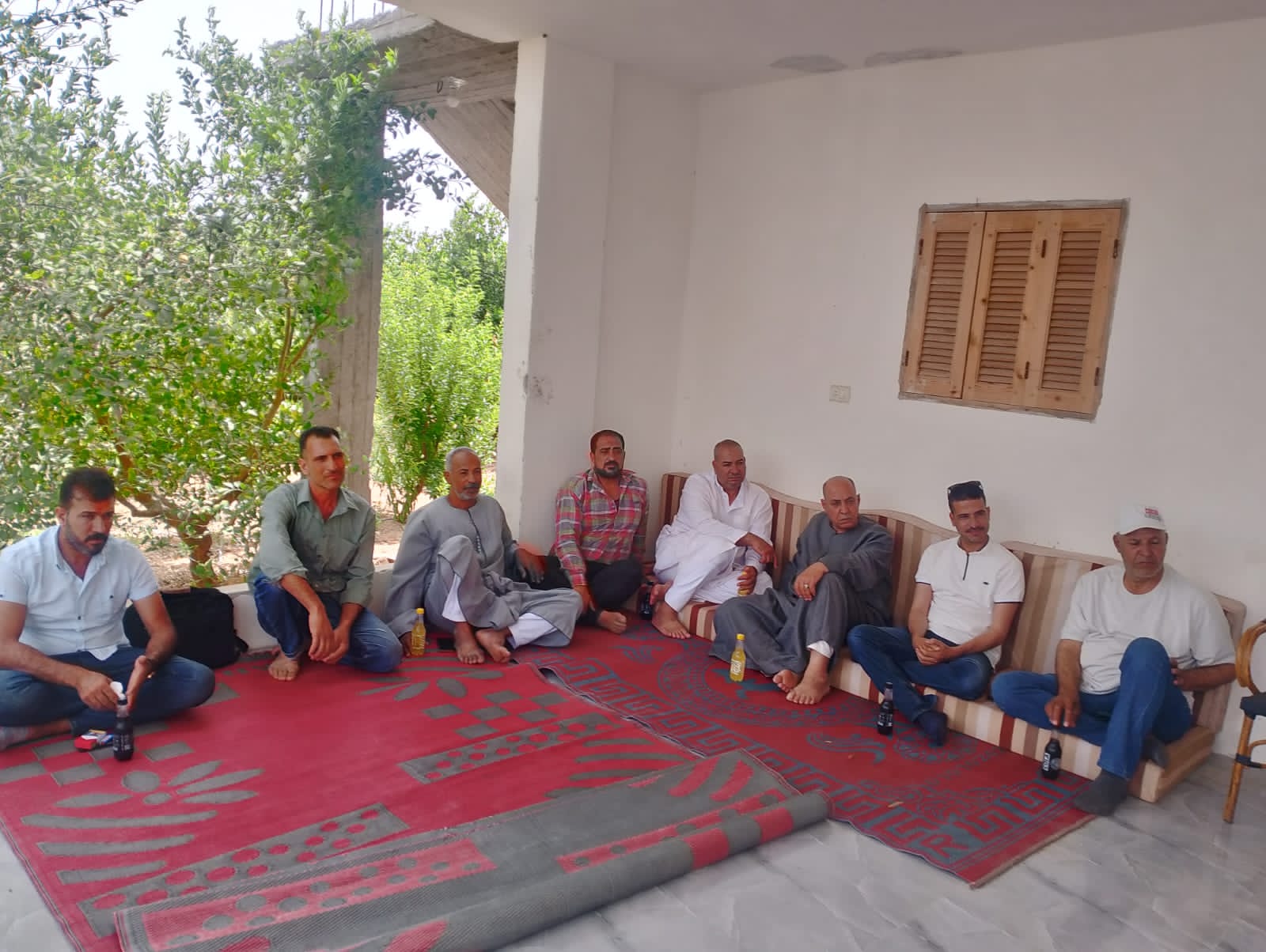 الزراعة