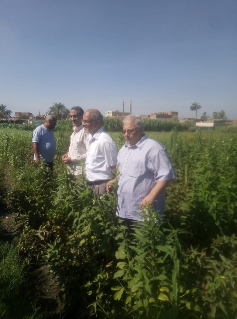 الزراعة