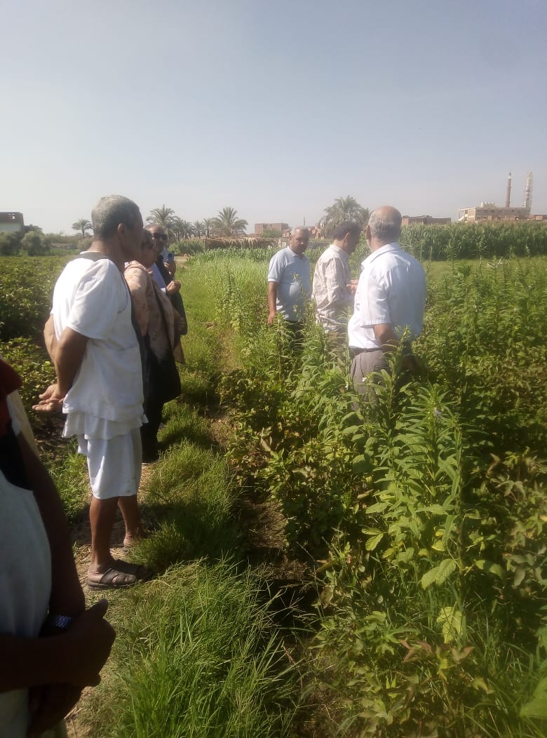 الزراعة