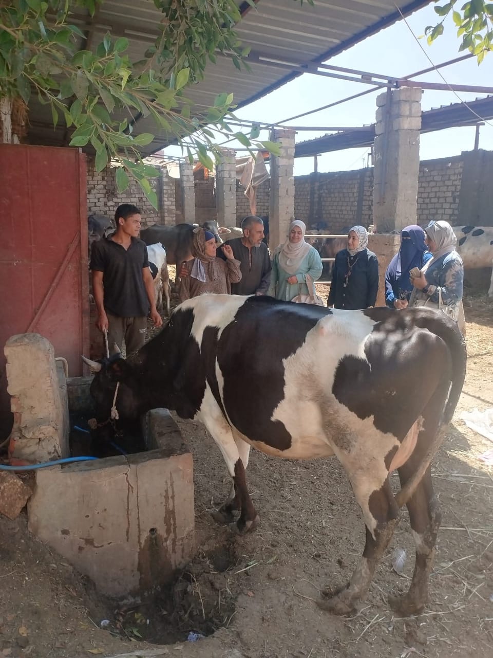 الزراعة