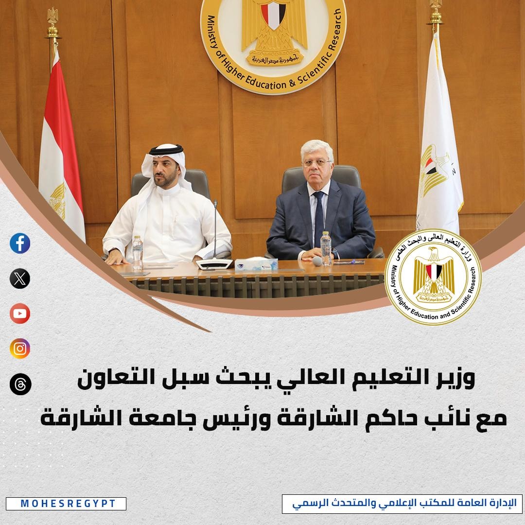 التعليم العالي