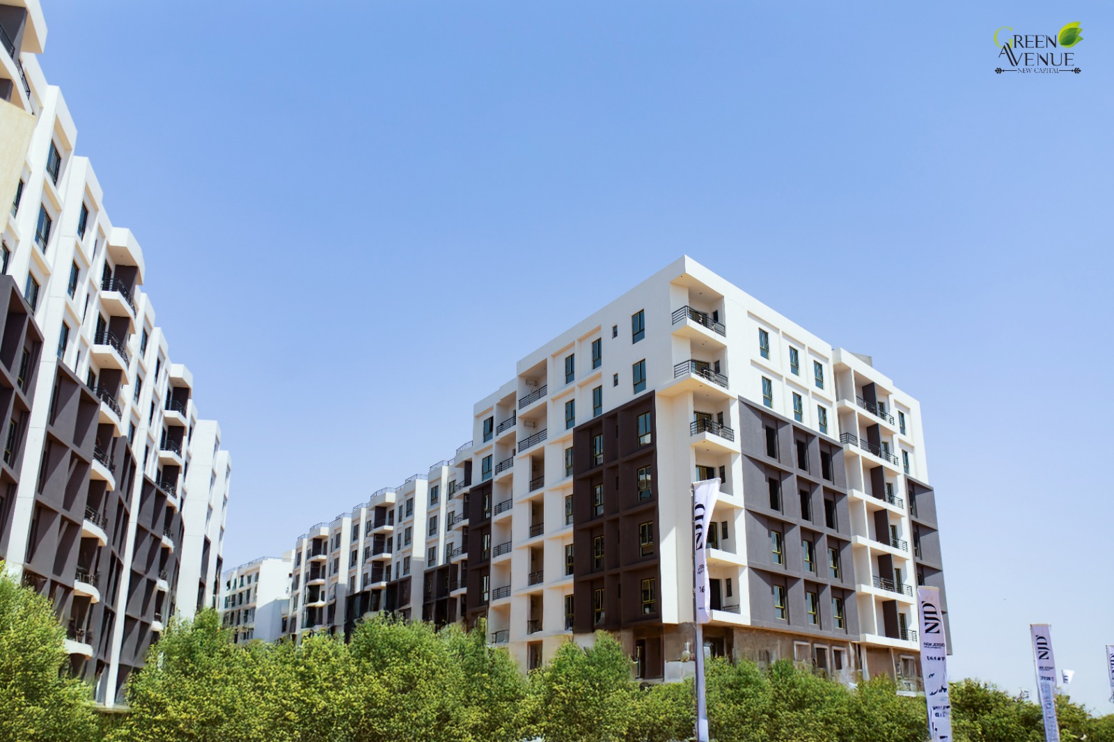 نيو جيرسي للتطوير