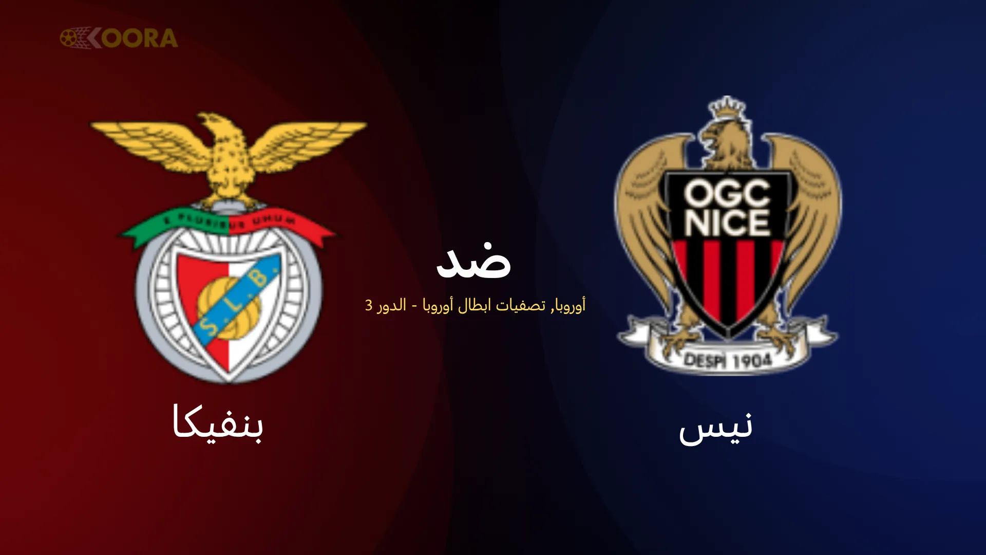 نيس الفرنسي