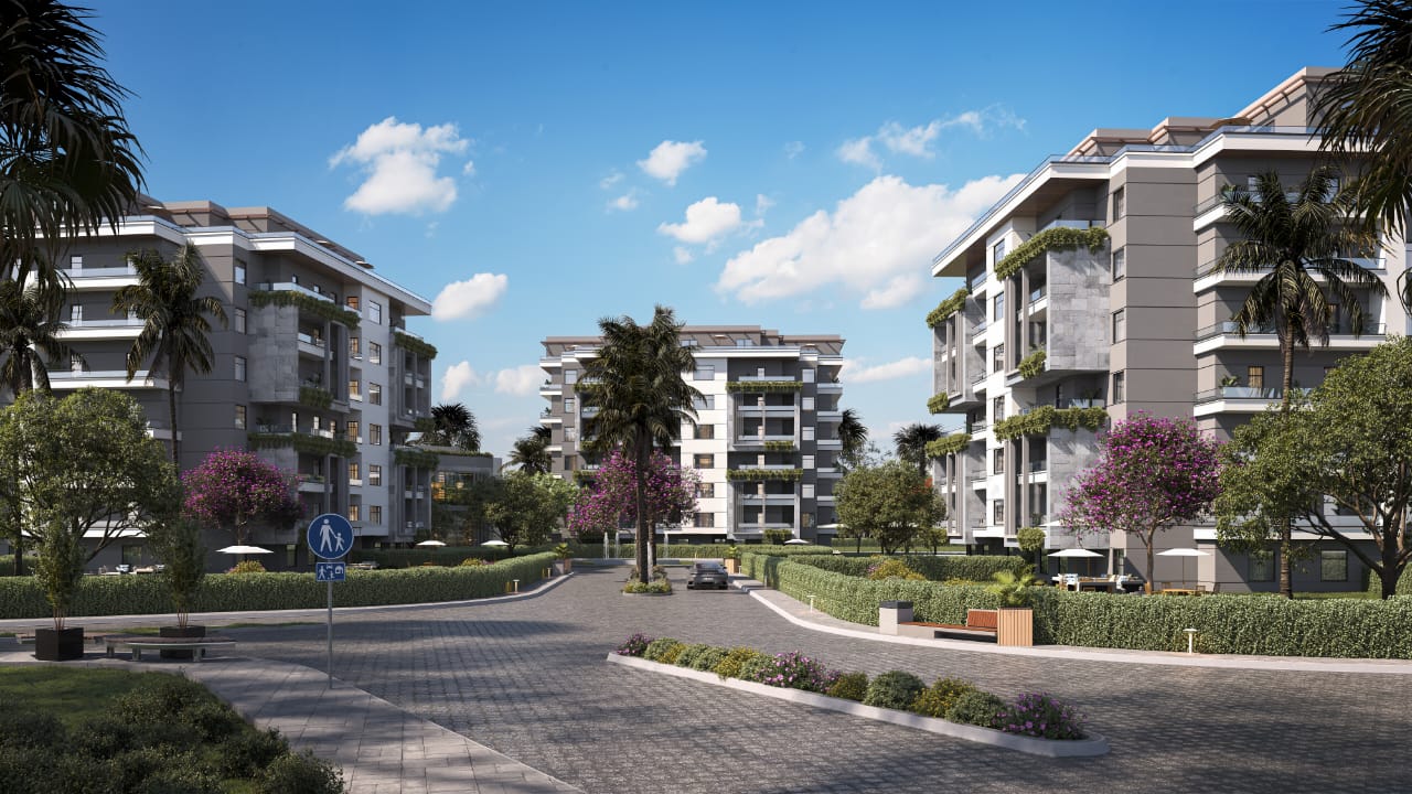 Marquee للتطوير