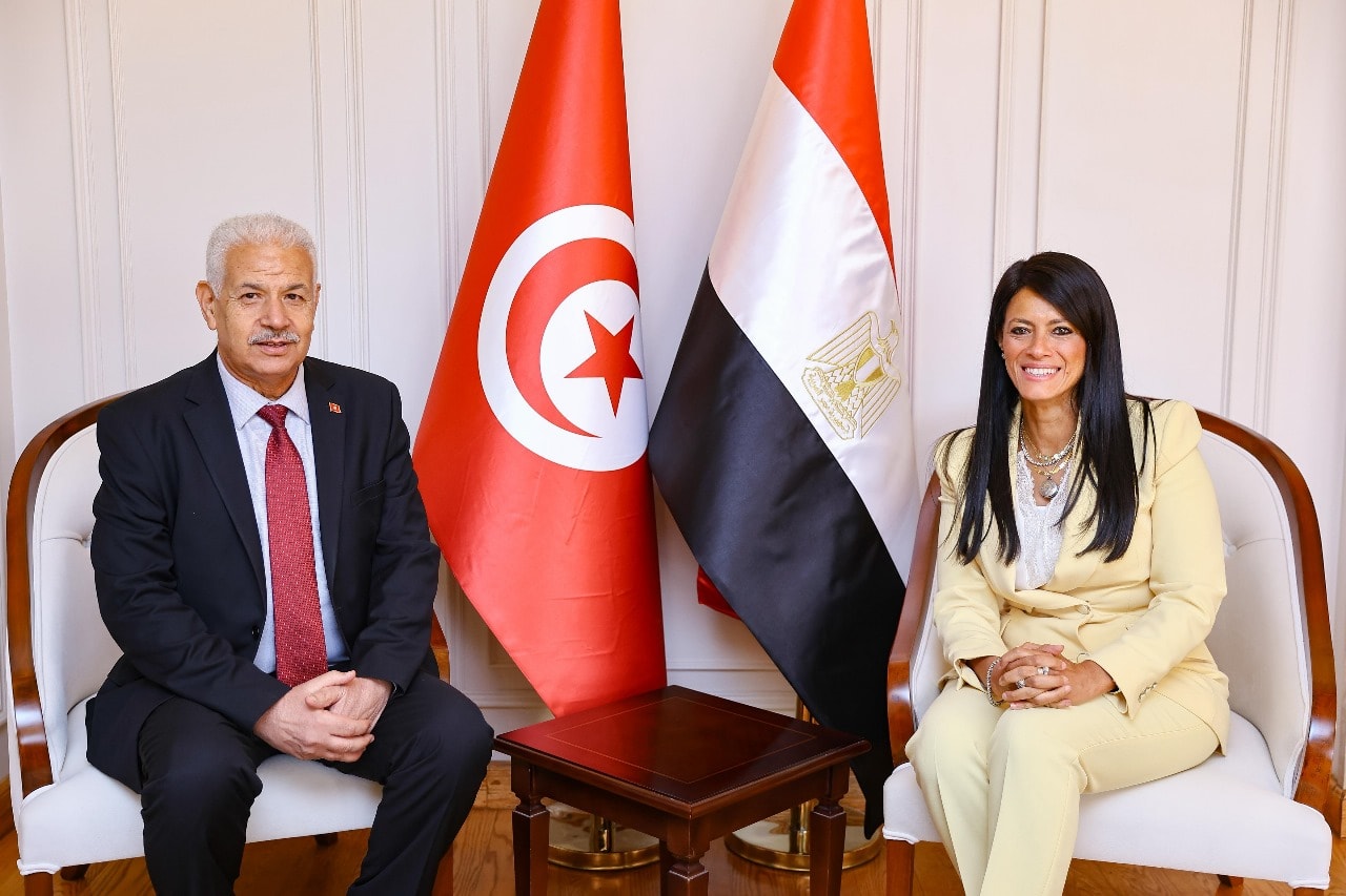 وزيرة التخطيط