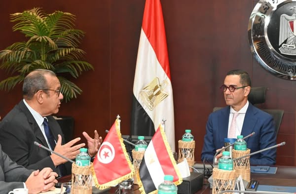 وزير الاستثمار