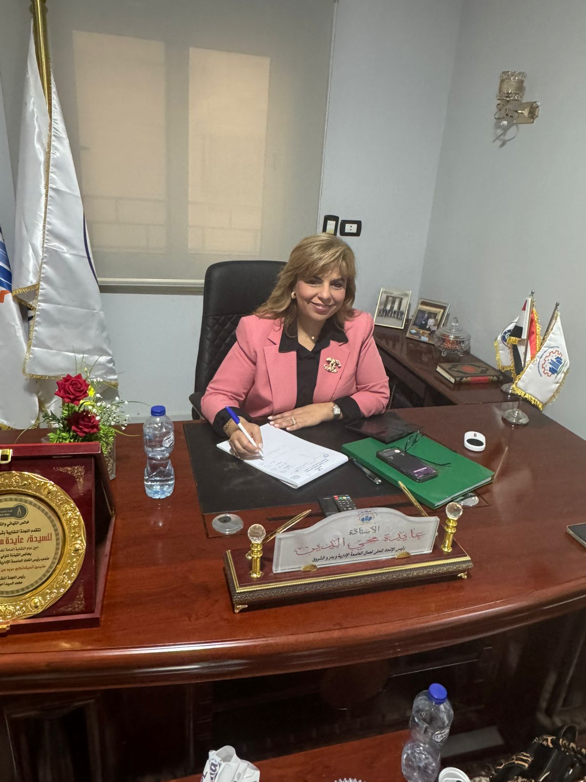 عايدة محيي الدين