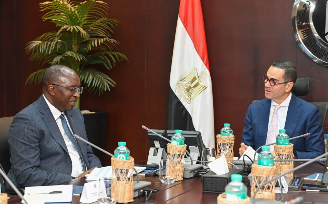 وزير الاستثمار