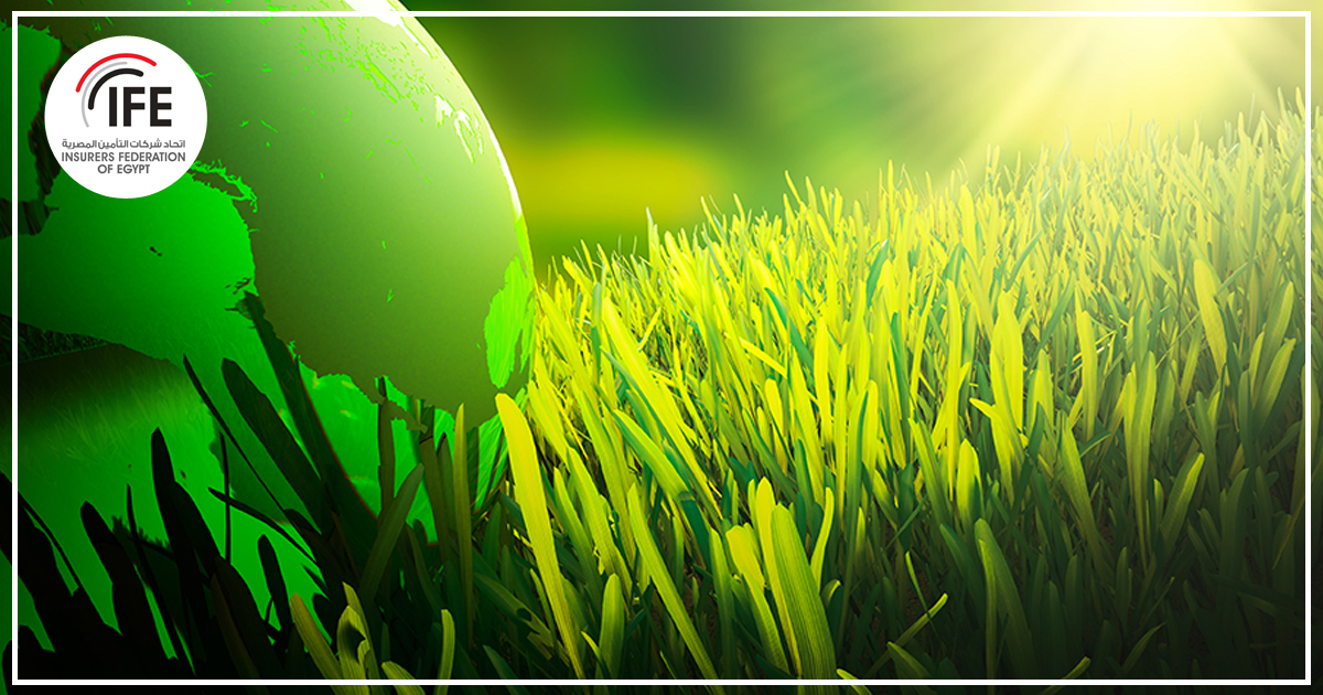 التأمين الأخضر