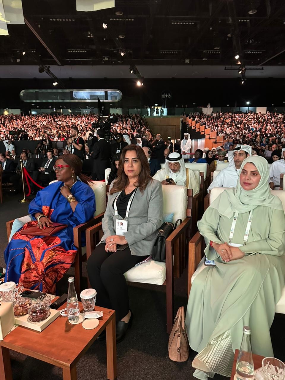 وزيرة التنمية